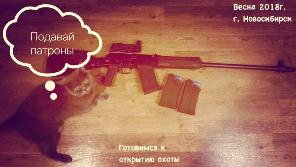 Хозяин "Подавай патроны" которые снарядил.