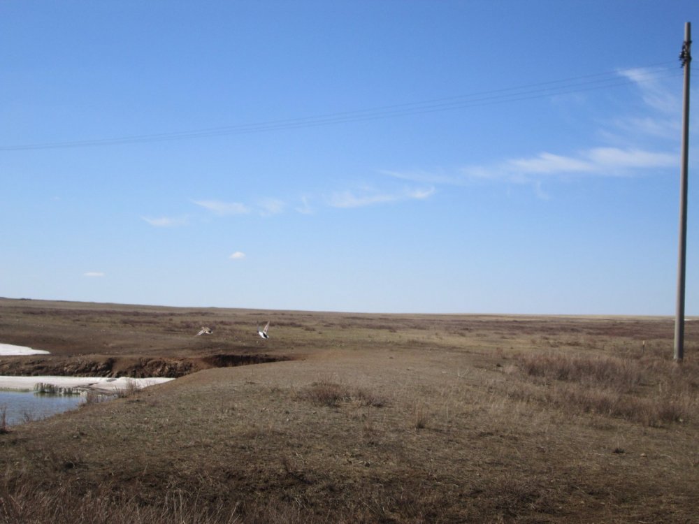 Летят утки
