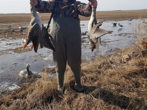 Гуменник 2018