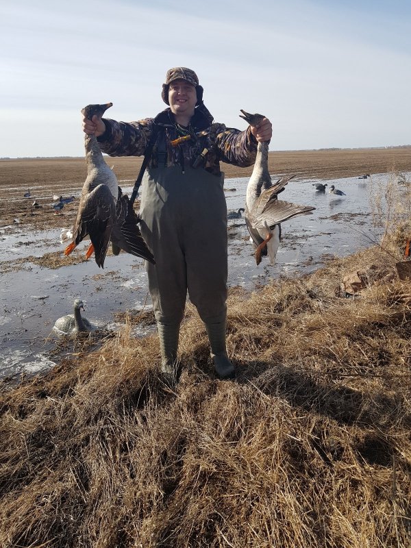 Гуменник 2018