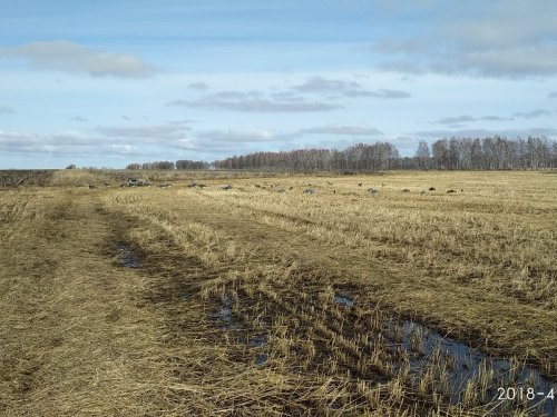 Расстановка.