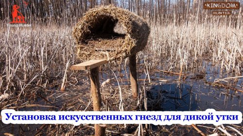 Установка искусственных гнезд для дикой утки