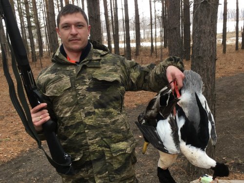 Вот и ути
