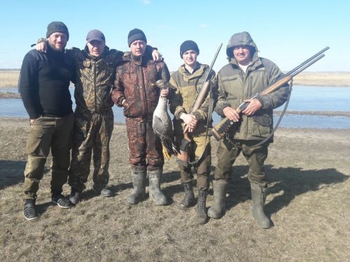 Друзья