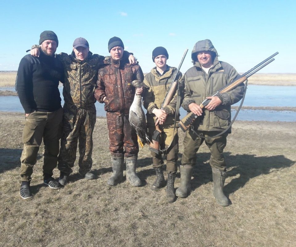 Друзья