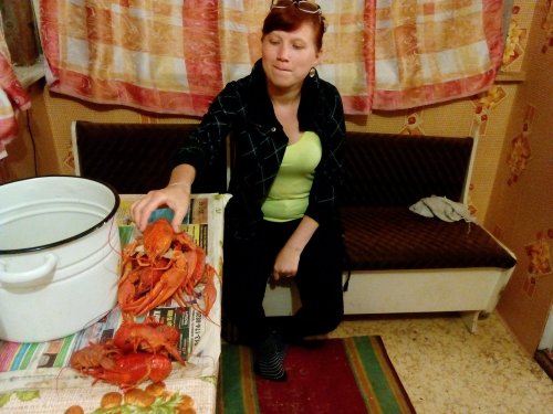 Раки