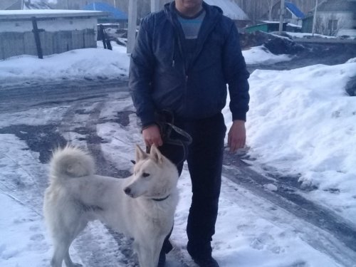 Буран 4198/14