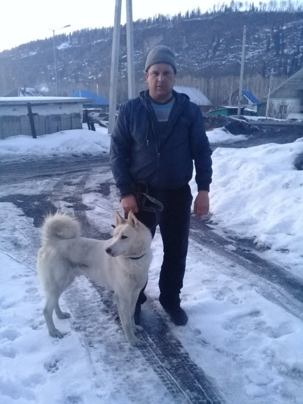 Буран 4198/14
