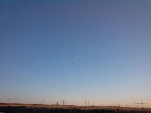 Летят ваши гуси - 2...