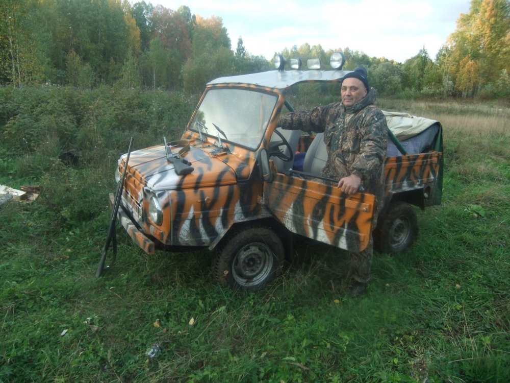 тигрёнок