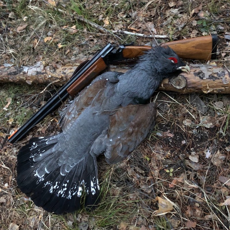 На току!