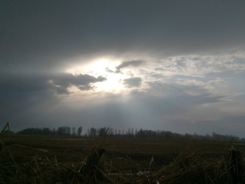 После грозы свежо!