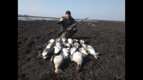 ОХОТА НА ГУСЯ 03.04.2018