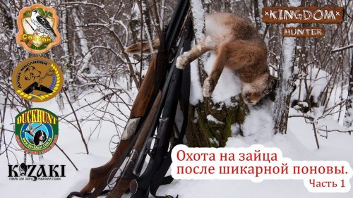 Охота на зайца после шикарной поновы.  Часть 1
