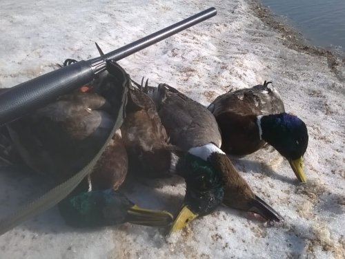 Открытие весна 2018 нсо