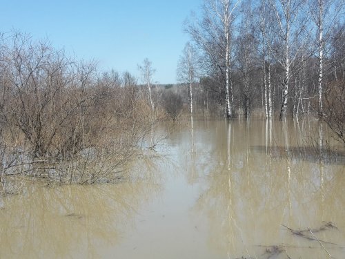 До скрадка только на лодке.