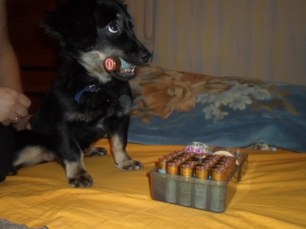 На конкурс.