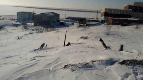 Прогулка с Таяном