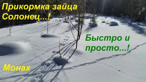 Прикормка зайца Солонец... Быстро и просто!
