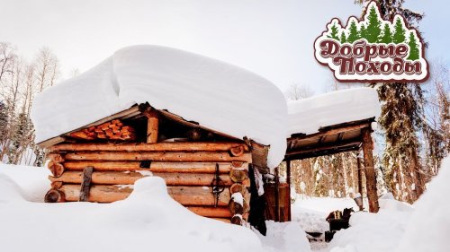 ЛЕСНАЯ ИЗБА - 4 ГОДА СПУСТЯ