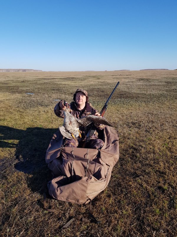 Белолобик 2018