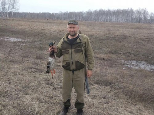 Очередной селезень !