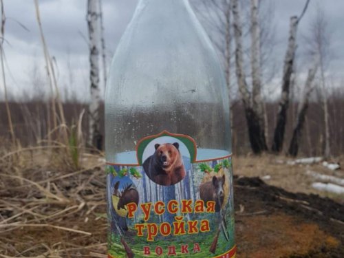 Закрыли охоту