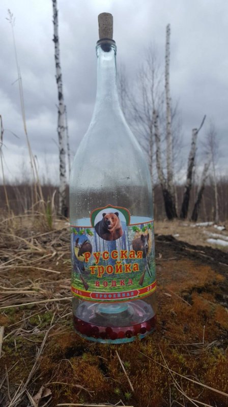Закрыли охоту
