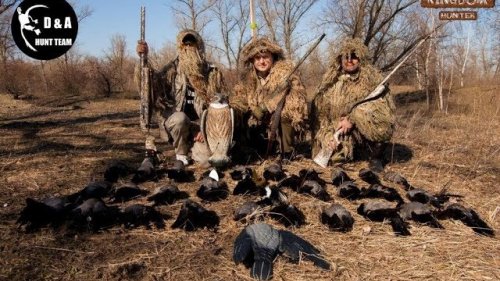 Весенняя охота на серую ворону.Отстрел серой вороны.Crow hunting.