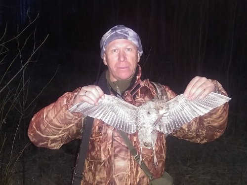 Вальдшнеп на тяге)