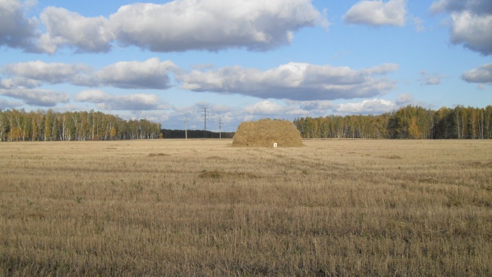 Красота осени.