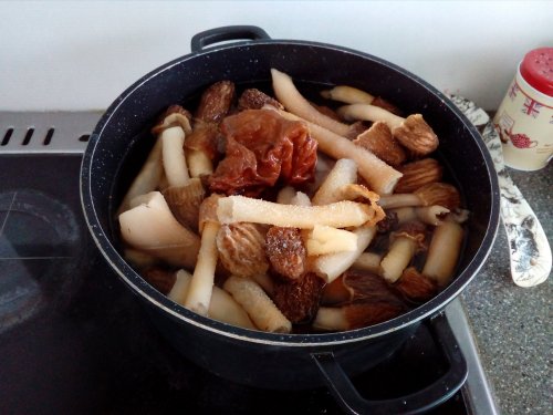 Первые грибы