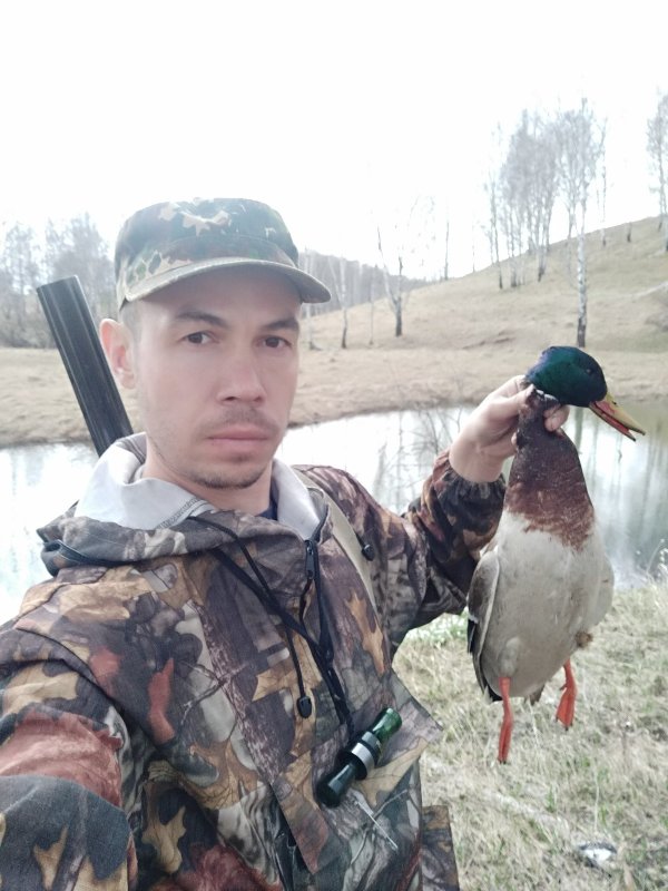 С полем