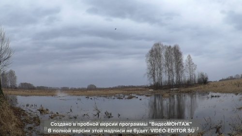 Краткие моменты весны 2018