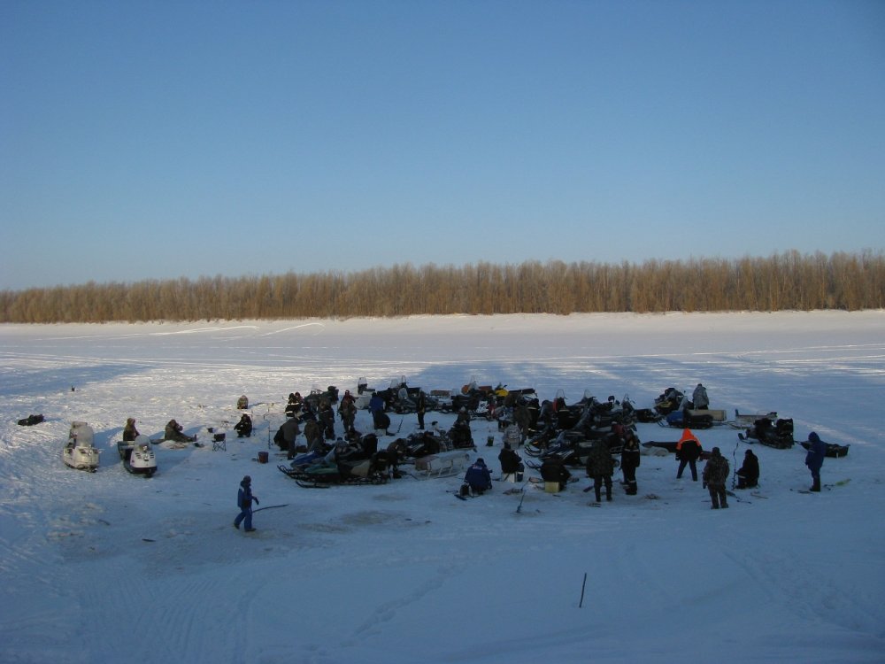 Рыбацкий муравейник