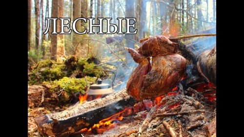 Путь охотника, необычный костер - жаровня, запеченное мясо, кровать из мешков, тайга