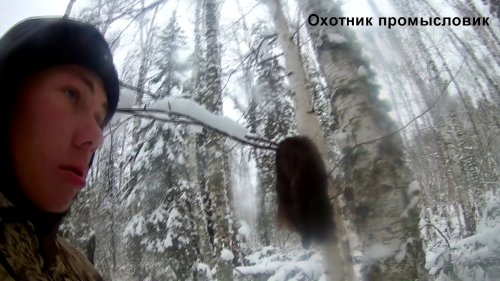 Охота на соболя с лайками день 2 добыли кота ЧАСТЬ 3