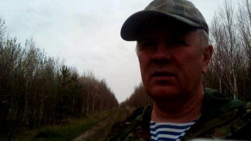 Тренировка русской пегой гончей