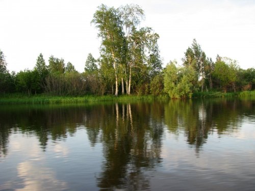Водяное зеркало