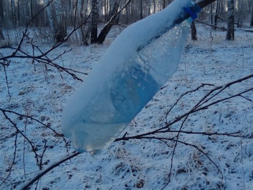 Я в весеннем лесу грыз березовый сок...