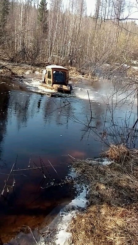 Охота на водоплавающих.
