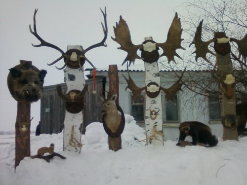 Омские областные соревнования.