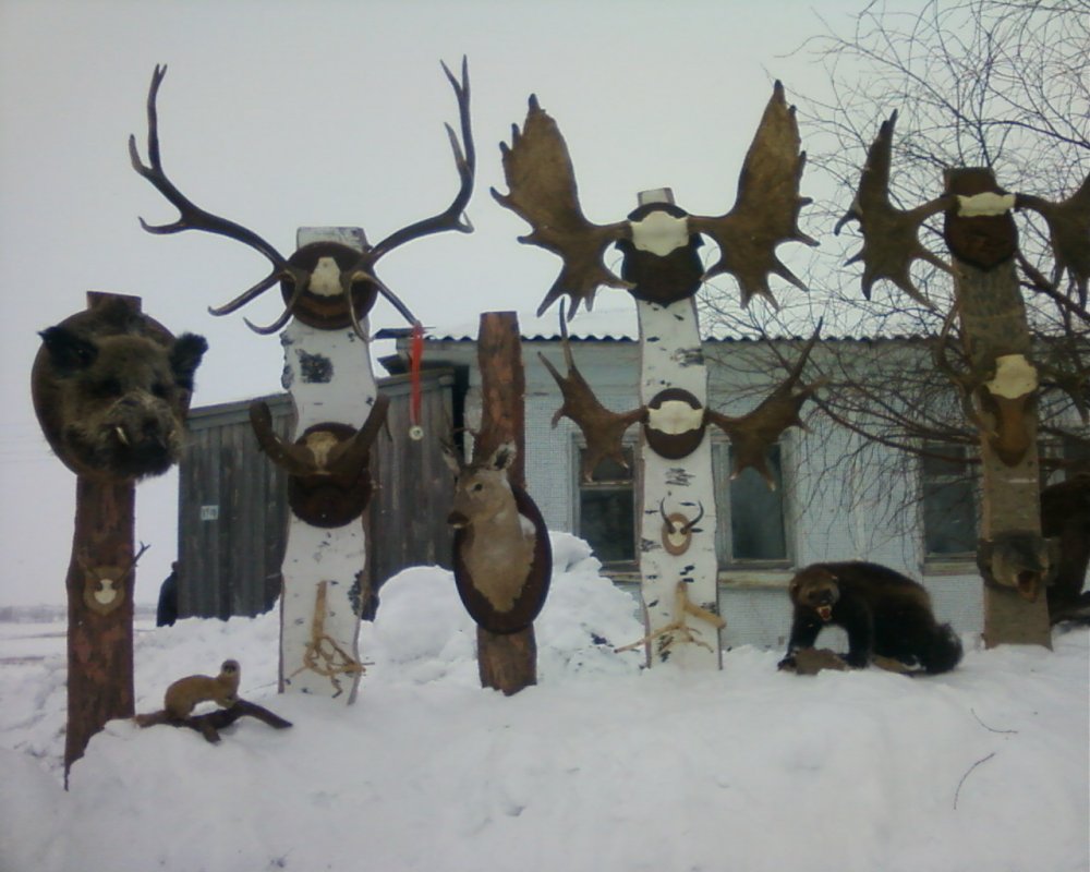 Омские областные соревнования.