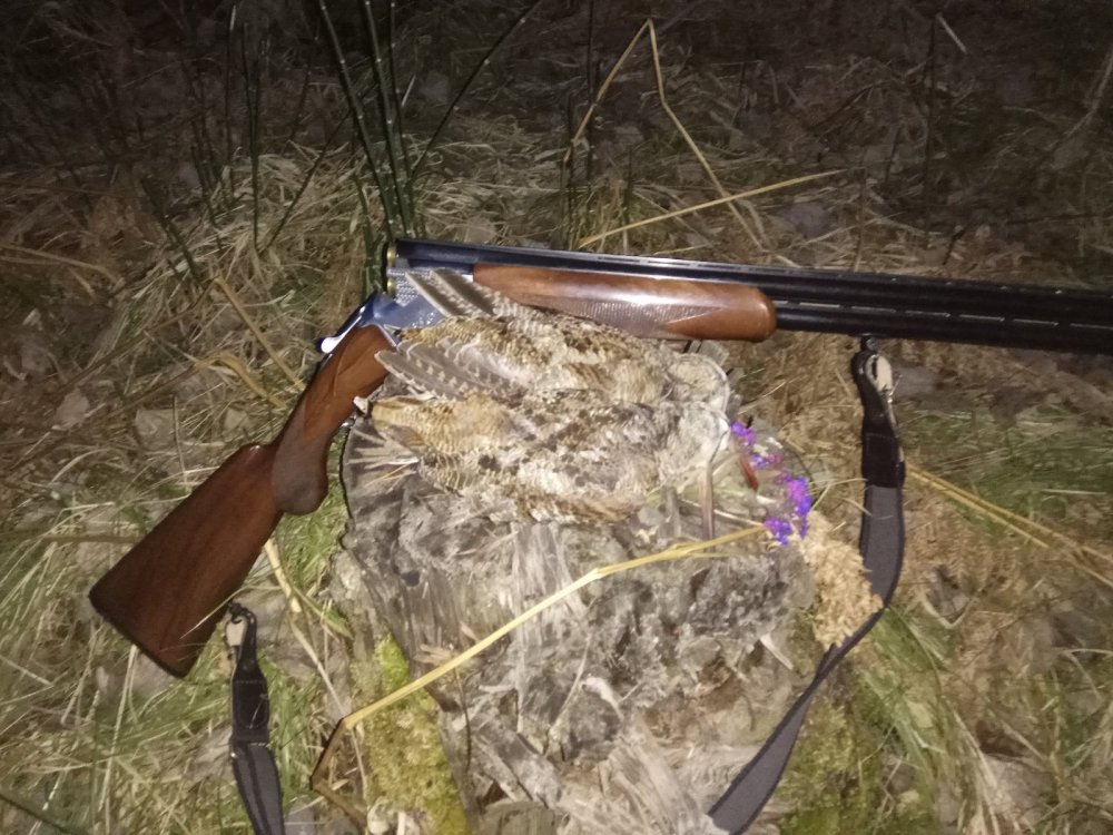 Первая парочка 2018