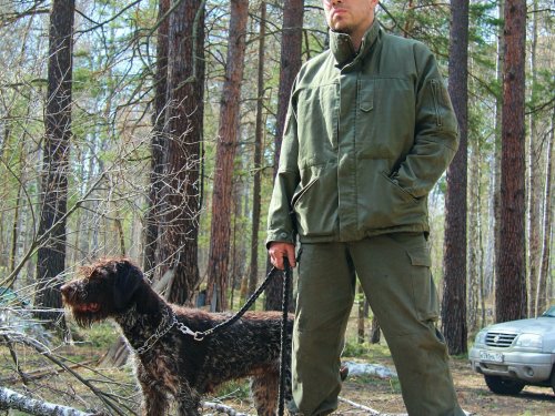 Дино-Челси