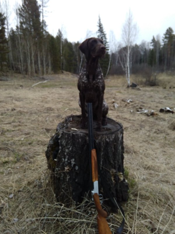 На тяге
