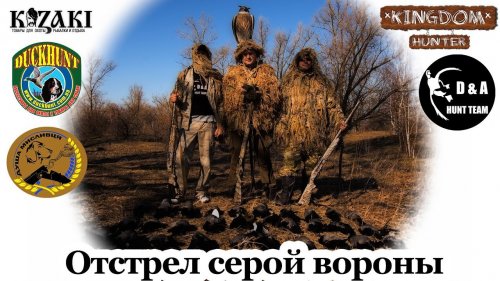 Отстрел серой вороны