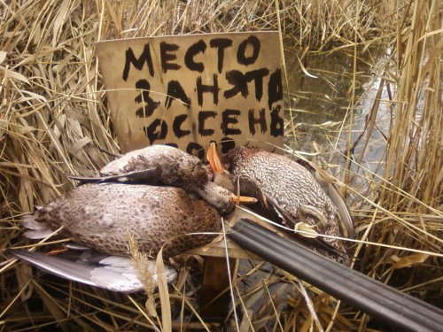 Поздняя осень 2017(перед ледком).