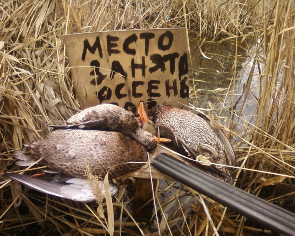 Поздняя осень 2017(перед ледком).