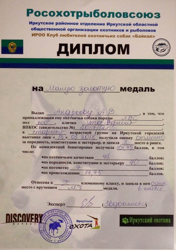 Постарались с Верным на выставке